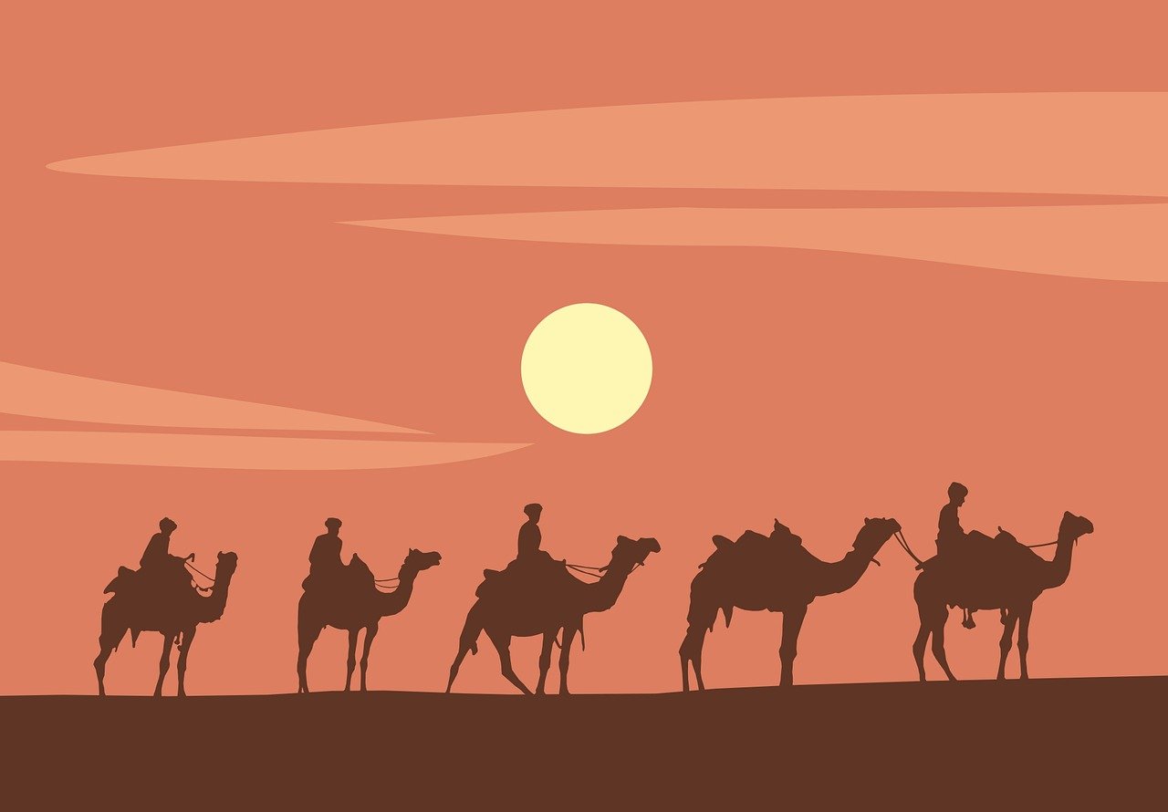 entdecken sie die bedeutung von geduld, ihre vorteile im alltag und tipps, wie sie mit mehr gelassenheit und ausdauer herausforderungen meistern können.