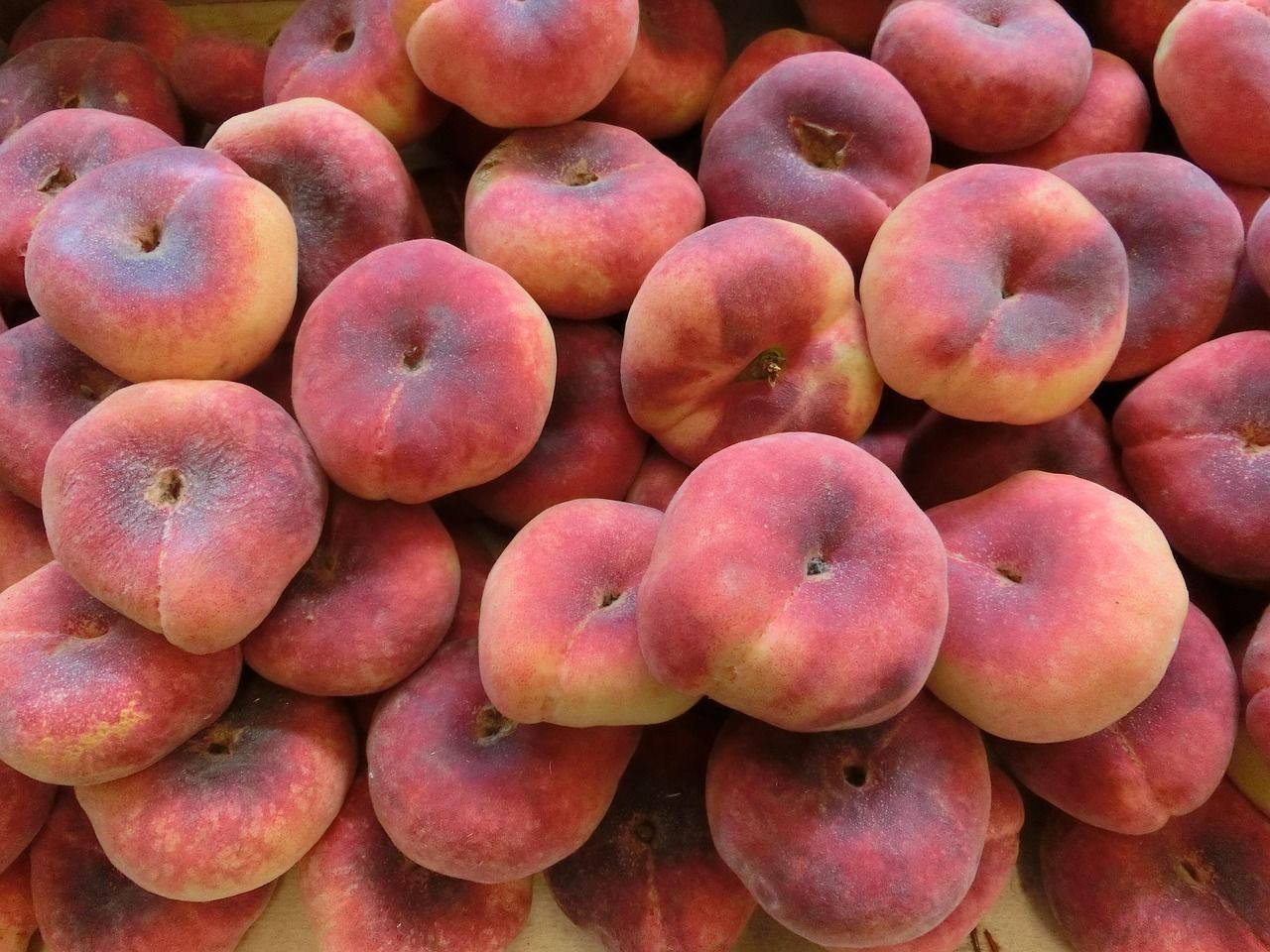 entdecken sie alles über vitaminmangel: ursachen, symptome und wie sie mangelerscheinungen verhindern können. erfahren sie tipps für eine ausgewogene ernährung und ihre gesundheit.