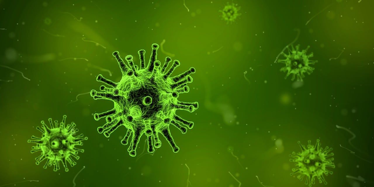 entdecken sie die welt der synthetischen biologie: erfahren sie, wie moderne wissenschaft künstliche biologische systeme gestaltet, innovative anwendungen schafft und nachhaltige lösungen für medizin, umwelt und industrie bietet.