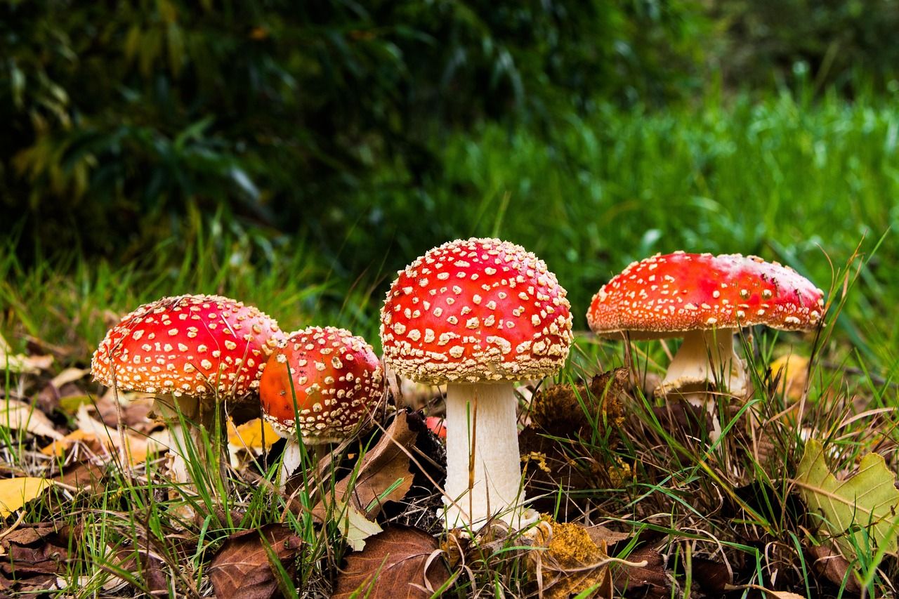 entdecken sie, wie man toxische beziehungen erkennt und bewältigt. erfahren sie tipps, warnzeichen und strategien für ein gesünderes miteinander und persönliches wohlbefinden.
