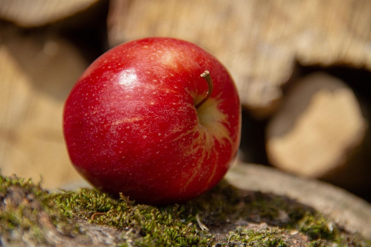 erfahren sie alles über vitaminmangel: ursachen, symptome und behandlungsmöglichkeiten. entdecken sie, wie sie einen mangel erkennen und mit der richtigen ernährung vorbeugen können.