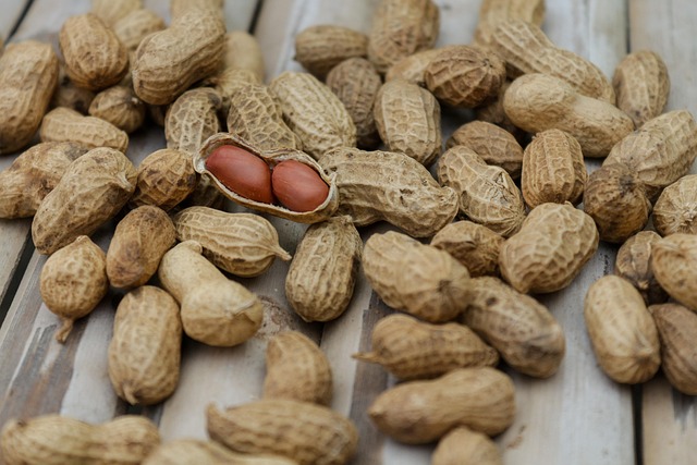 10 gesunde Snacks für Frauen unterwegs: Schnell und lecker zubereitet