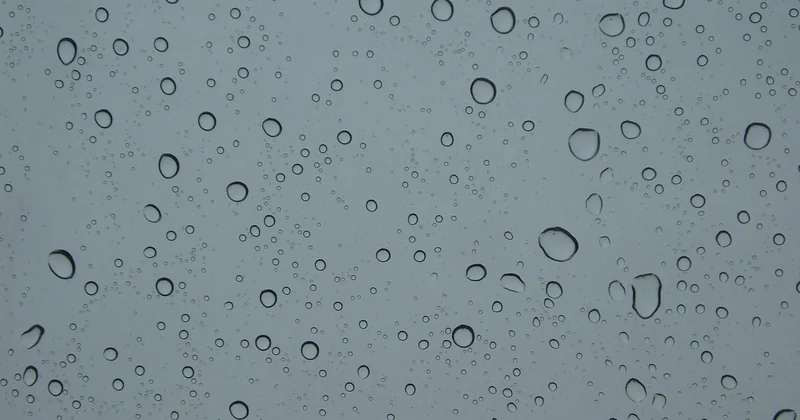 Die einfachste Methode zuerst: Auge, Nase, Regen